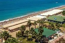 Smartline Ally シダ